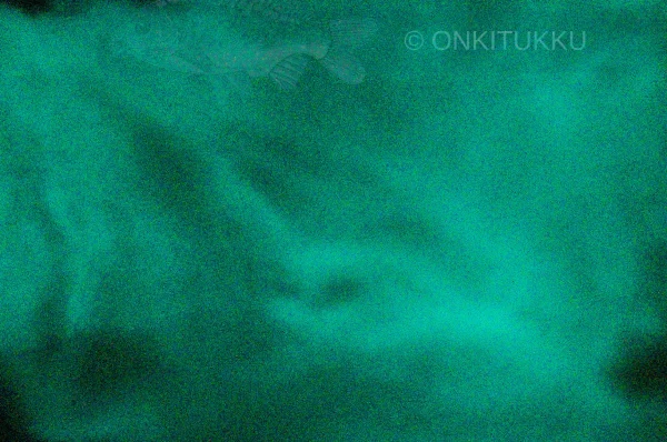 New Värijauhe UV hohto Aqua Värit Ja Pigmentit